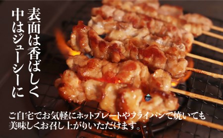 飛騨地鶏 焼き鳥10本セットA 5種(もも/皮/ふりそで/ぼんじり/せせり) 焼き鳥[DK059]
