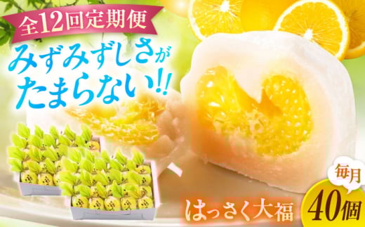 【ふるさと納税】【全12回定期便】お菓子 はっさく大福20個入×2　 お菓子 大福 八朔 柑橘 みかん オレンジ 餅 ギフト お取り寄せ スイーツ フルーツ大福 ご当地 菓子 おかし デザート 食品 人気 おすすめ 広島県福山市/株式会社虎屋本舗[BADH036]