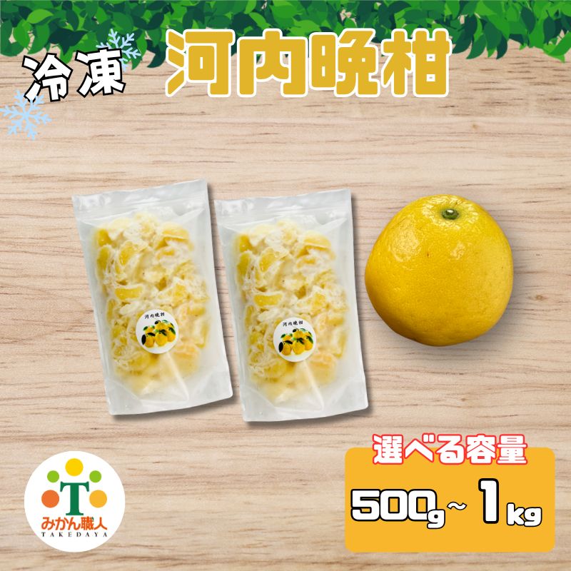【ふるさと納税】 冷凍河内晩柑 500g/1kg 柑橘 果物 河内晩柑 くだもの フルーツ 愛南ゴールド 和製グレープフルーツ おやつ 柑橘 かんきつ 冷凍 冷凍柑橘 冷凍みかん 夏 アイス スムージー シャーベット みかん職人武田屋 愛媛県 愛南町