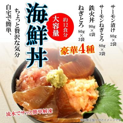 ふるさと納税 山口市 海鮮丼4品人気セット　660g(ネギトロ他3品) E087 |  | 01
