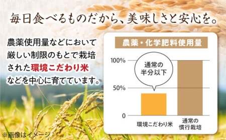 穀物検定協会 食味ランキング最高『特A』受賞米　滋賀県産 【環境こだわり米】みずかがみ2kg×2　滋賀県長浜市/株式会社ＴＰＦ[AQCQ004]