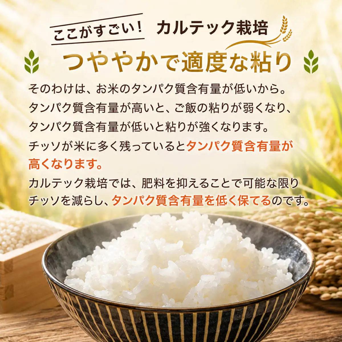 コシヒカリ 5kg 米 お米 京都丹波産 コシヒカリ