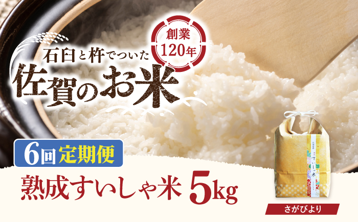 【6回定期便】 令和6年産  佐賀県産 さがびより 5kg / 米 お米 白米 精米 ブランド米 ごはん ご飯 主食【一粒】[NAO040]