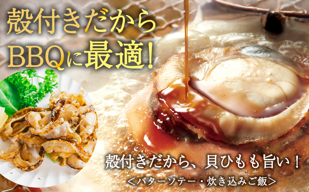 【先行受付】宗谷漁協発!産地直送!活ほたて約3kg（13～15枚入）