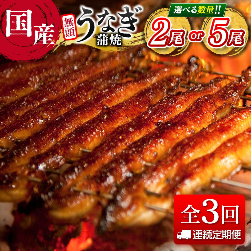 【ふるさと納税】＜連続定期便＞国産 うなぎ 定期便 鰻楽 蒲焼 家庭用 2尾 or 5尾セット（11月,12月,1月お届け）全3回 数量限定 無頭 高評価 おすすめ 冷凍 簡単調理 個包装 鰻 魚介 贈答品 ギフト 贈り物