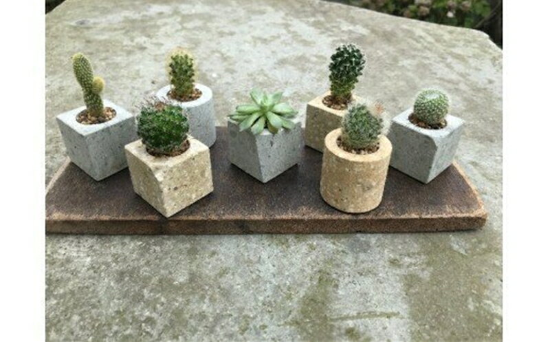 【ふるさと納税】竜山石の植木鉢　〇 □ 2個セット 【プランター 植木鉢 おしゃれ 鉢植え ガーデニング 兵庫県 高砂市】