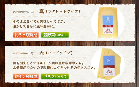 北海道十勝 あしょろチーズ工房チーズセットS チーズ チーズ チーズ チーズ [BEAU009]