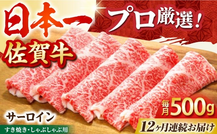 
            【全12回定期便】佐賀牛 サーロイン スライス 500g【田中畜産牛肉店】 [HBH020]
          