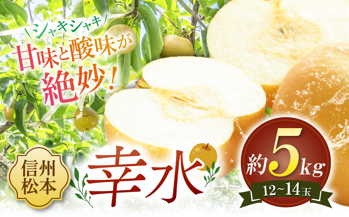 
            【先行受付：2026年発送】幸水 10～14玉 約5㎏｜ふるさと納税 松本市 幸水 果物 フルーツ 梨 なし ジューシー 果肉 信州産 美味しい 人気
          