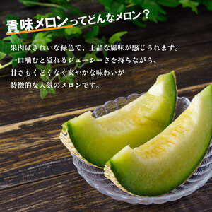 【2026年 先行予約】 貴味 メロン 約 3kg以上 青肉 ( 4L × 2玉 ) 【 メロン 】