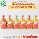 【ふるさと納税】 信州産 りんごジュース [ JAL考案セット] 230ml × 6本 「いいづなりんごのふるさと旅」 泉が丘喫茶室 沖縄県への配送不可 長野県 飯綱町 〔 飲料 果汁飲料 りんご リンゴ 林檎 ジュース 信州 15500円 〕