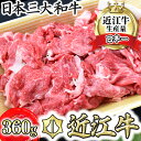 【ふるさと納税】近江牛 切落し 360g 牛肉 パック 牛 牛丼 国産 ブランド牛 日本三大和牛 キャンプ アウトドア 贈り物 ギフト にも 冷凍 送料無料