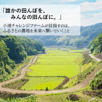ふるさと納税 日高町 令和8年産(2026年産) 新米!小浦れんげ米(にじのきらめき)【無洗米】 10kg |  | 01