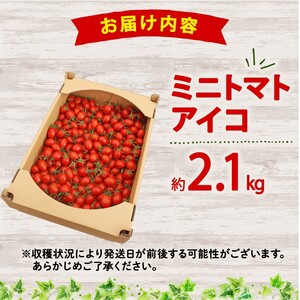 松下農園のミニトマトアイコ ミニトマト 2.1kg 2026年1月中旬から発送 アイコ とまと トマト 夏 新鮮 野菜 サラダ 完熟 農家直送 松下農園 牧之原市 静岡県