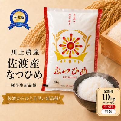 ふるさと納税 佐渡市 【毎月定期便】【新品種】佐渡産 なつひめ 10kg(5kg×2袋)精米　川上農産のお米全6回