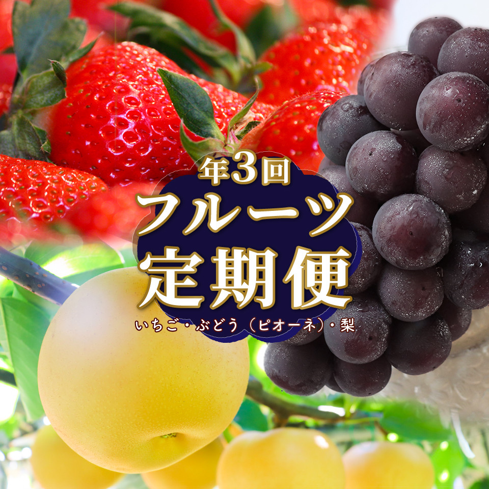 
                  ＜フルーツ 定期便（全３回）＞ ［いちご ピオーネ  梨］  ぶどう fruit 苺 おすすめ 旬 果物 くだもの 高知県 佐川町産
                