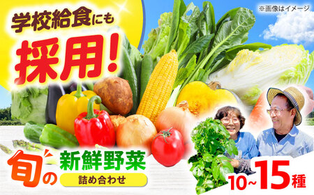高槻野菜セット（10〜15種）[AOCS006]野菜セット