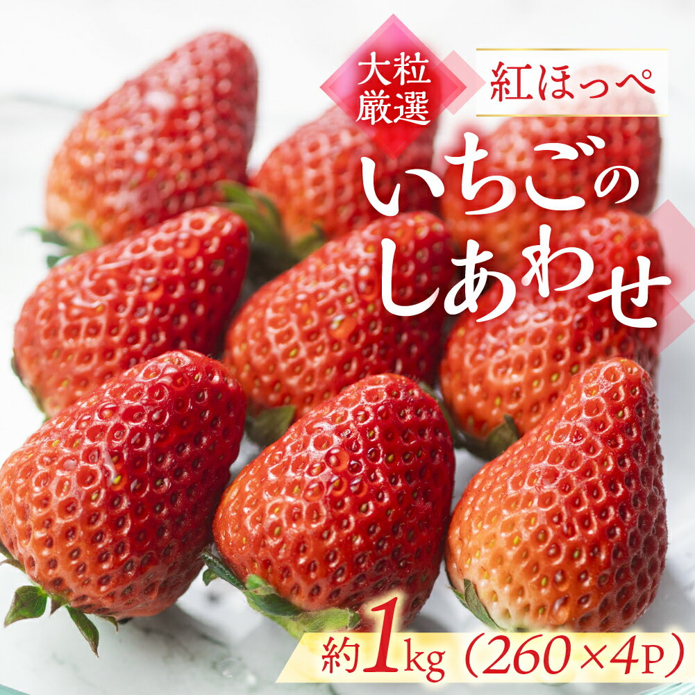 【ふるさと納税】≪先行予約≫ 愛知県・田原産 ブランドいちご『いちごのしあわせ』4パック（約260g×4） 2025年1月～発送開始 大粒 激甘 イチゴ 激甘 いちご 苺 果物 激甘 くだもの 激甘 フルーツ ブランド 贅沢品 激甘 贈答品 激甘 お取り寄せ田原市 産地直送 送料無料
