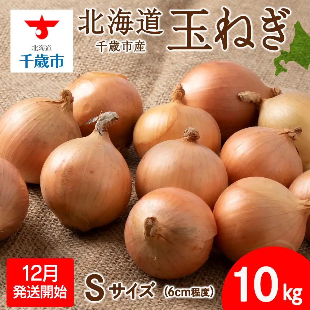 【先行予約】玉ねぎ 10kg Sサイズ 北海道 千歳市産 【假屋フードブリッジ】