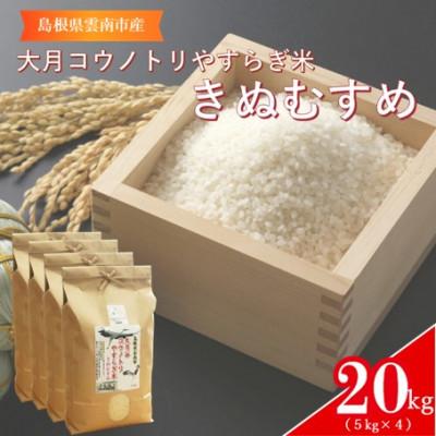 ふるさと納税 雲南市 島根県雲南市「大月谷コウノトリやすらぎ米」きぬむすめ20kg(5kg×4)