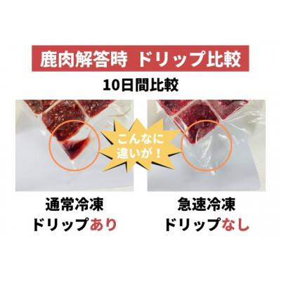 ふるさと納税 若狭町 ドッグフード　鹿肉冷凍ミンチ(犬用)1kg |  | 02