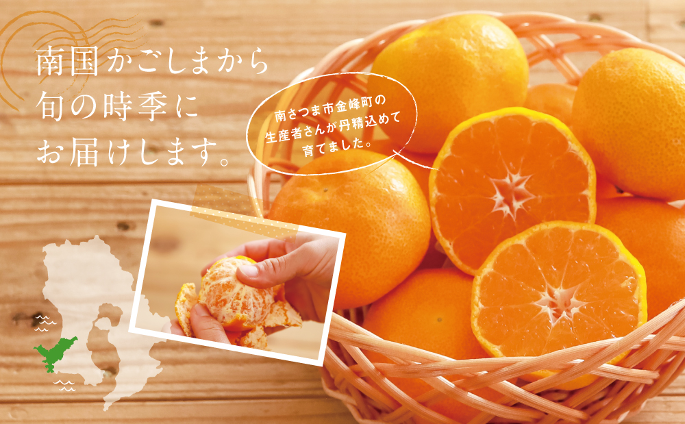 【先行受付：7月～8月発送】鹿児島県産 ハウスみかん 約2.4kg（化粧箱入り） 果物 フルーツ 柑橘 旬 みかん ハウスミカン JAさつま日置 南さつま市