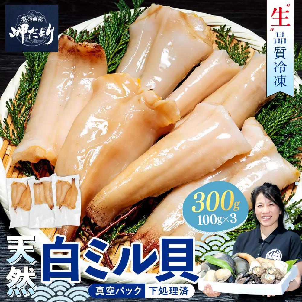 岬だより 貝専門店 天然 白ミル貝 100g×3袋 魚貝