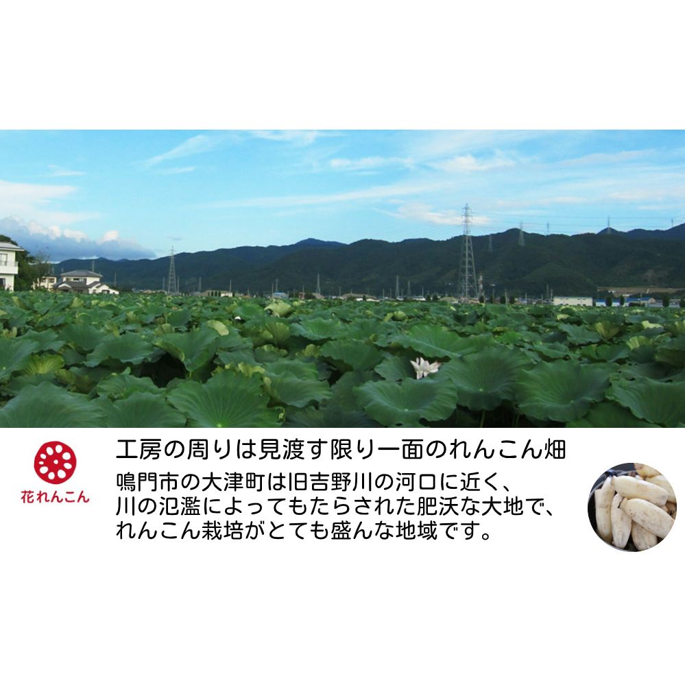 ふわっシャキ 鳴門れんこん ハンバーグ 220g×4個_イメージ3