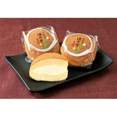 【ふるさと納税】銘菓　絹の月　10個入り【配送不可地域：離島】【1384329】