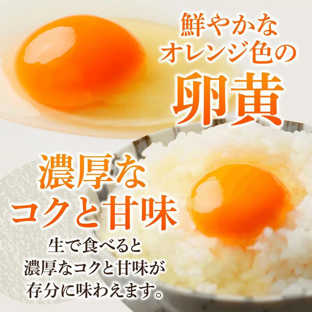 あやめ卵 80個入 【農場HACCP認証】 【JGAP認証】