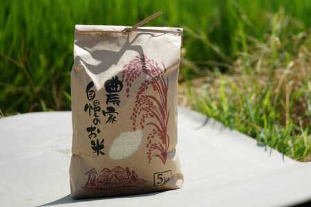 【期間限定】令和7年産 新米 ひとめぼれ 5kg 