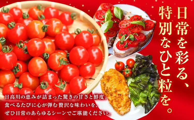 ミニトマト キャロルセブン 約1kg トマト