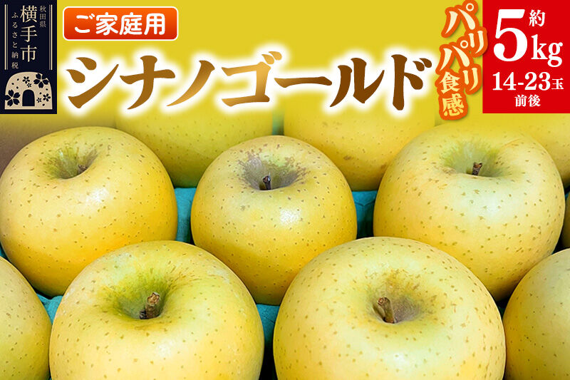 【先行受付】1月中旬より発送 パリパリ食感シナノゴールド ご家庭用 約5kg（14～23玉前後） [先行予約 しなのごーるど 林檎 りんご リンゴ 家庭用 不揃い おまかせ 【りんご】特集]