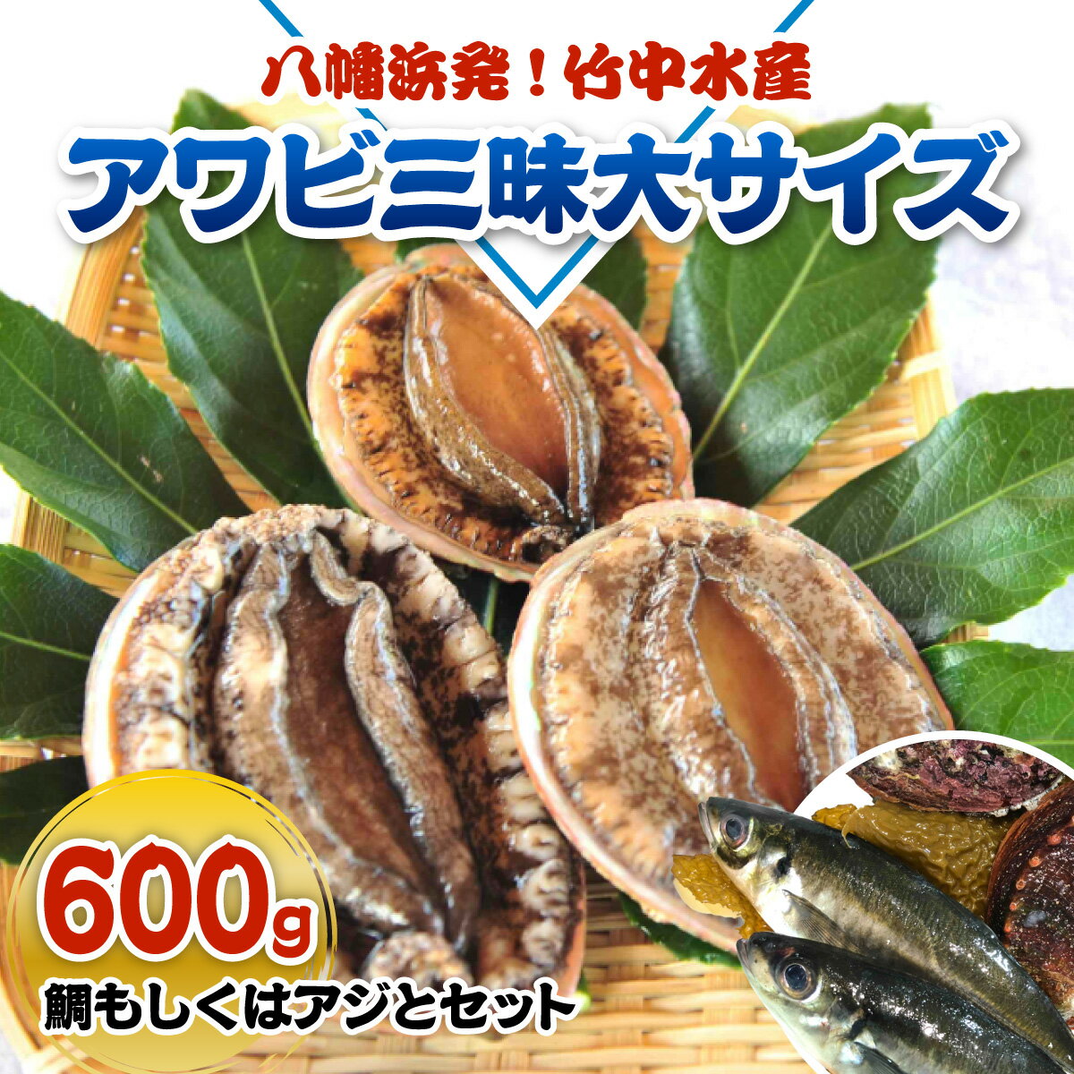 【ふるさと納税】八幡浜発!竹中水産の「アワビ三昧大サイズ」600g(鯛もしくはアジとセット)　【H22-212】_ 鮑 あわび アワビ 活きあわび 魚介 魚介類 海鮮 天然 活き 鮮魚 刺身 冷蔵 大サイズ【配送不可地域：離島・北海道・沖縄県】【1043108】YWTM030