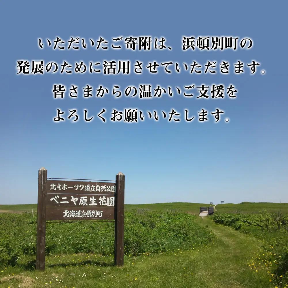 北海道 浜頓別町 ☆応援寄附金☆【返礼品なし】10,000円分 ふるさと納税 寄附のみ