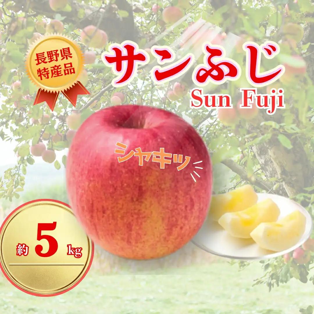 【2026年先行予約】サンふじ 約5kg|りんご