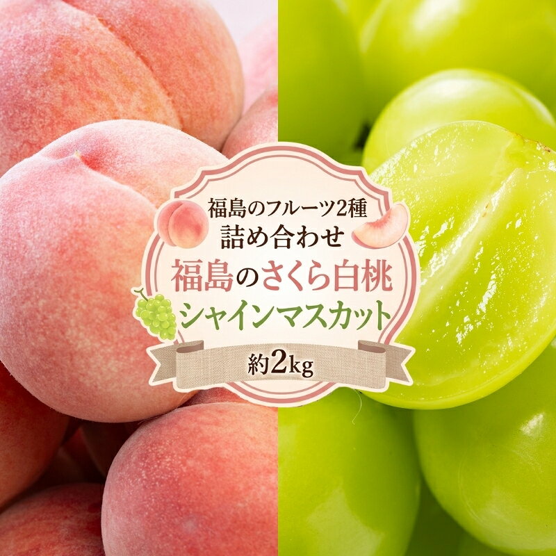 【ふるさと納税】No.3377 アグリード 福島のフルーツ2種詰め合わせ（さくら白桃とシャインマスカット）約2kg【2026年発送】ふくしま フルーツ 果物 くだもの 産地直送 旬 ぶどう 桃 もも 詰合 セット 一万円台 一万五千円