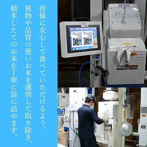 【令和7年産】 はえぬき 無洗米　5kg (5kg×1袋)　山形県庄内産　有限会社 阿部ベイコク　| ブランド米 米 こめ コメ ごはん ご飯 国産 庄内米 美味しい おすすめ 人気 山形県 鶴岡市