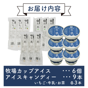 カップアイス 6個 アイスキャンディー 3種 計9本 セット うちだけの味 武井牧場 自家製 アイス 牧場 牛乳 いちご お茶 アイスクリーム キャンディー 食べ比べ ギフト 贈答 お取り寄せ スイー