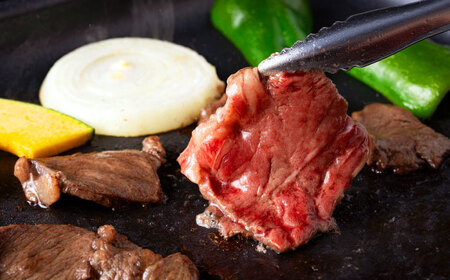 熊本あか牛 焼肉用カット ( バラ ロース ) 500g 【合同会社　長岡フーズ】[ZFR041]