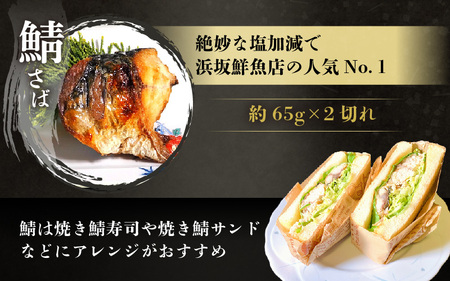 時短 レンジで簡単 焼き魚 生ガサエビセット 炭火焼き 地元に親しまれる 【惣菜 個装パック 贈答 ギフト 内祝 お礼 お祝 贈り物 レンチン 魚 漬け魚 鮭 エビ おかず 一人暮らし 和食 冷凍食品