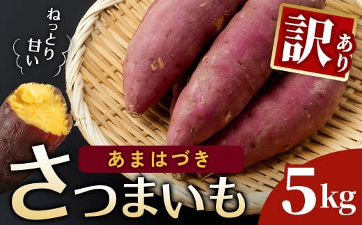 【先行予約】訳あり さつまいも あまはづき 5kg 新品種 おススメ サツマイモ 一関市産 ねっとり 甘い 人気 さつま芋 薩摩芋 satsumaimo 岩手県 一関市