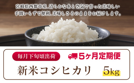 先行予約【5ヶ月定期便】令和7年産　宮崎県産コシヒカリ無洗米　5kg×5回＜8.5-7＞