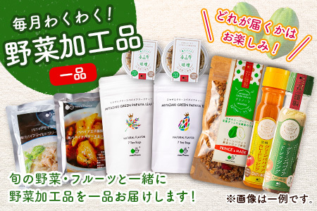 産地直送！旬の野菜・フルーツ＆野菜加工品 セット お試し 1回お届け おまかせ 詰合せ 宮崎県新富町産【C431】