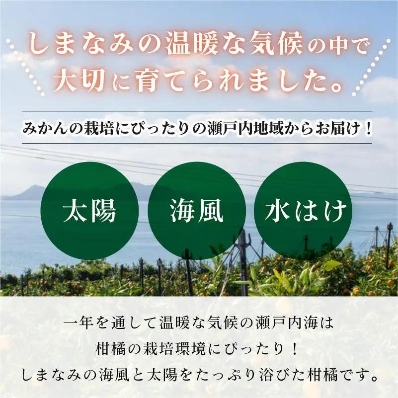 【先行予約】デコポン L～3L 18～24玉 JAおちいまばり