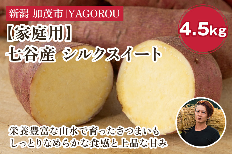
            【家庭用】シルクスイート 4.5kg（A品・B品混在） 新潟県加茂市七谷産 さつまいも《11月下旬〜順次発送》 サツマイモ お芋 焼き芋 スイートポテト 野菜 根菜 低温熟成 加茂市 YAGOROU ヤゴロウ
          