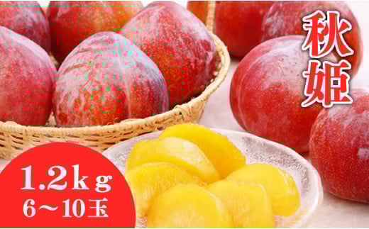 08-01-018　プラム(秋姫)1.2kg