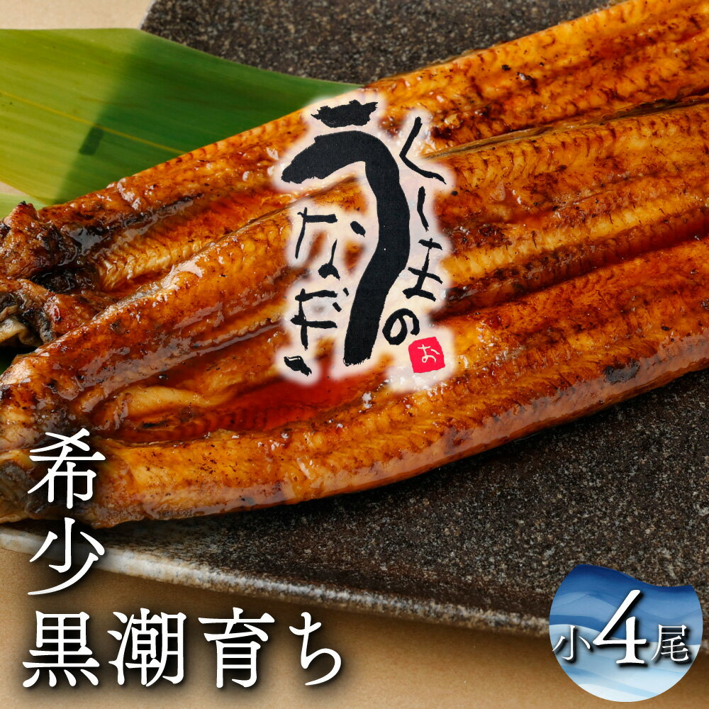 【ふるさと納税】【数量限定】選べる！くしまの黒潮うなぎ蒲焼【大田商店】【KU469】