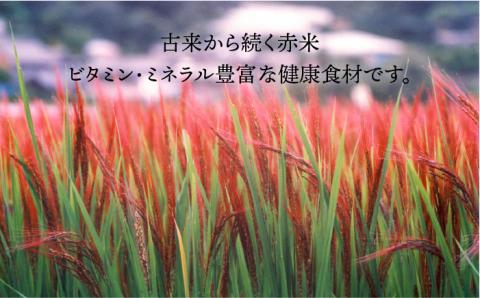 全5回定期便（月1回） 赤米・黒米・雑穀米 健康ごはんのお米セット 二丈赤米産直センター [ABB018]