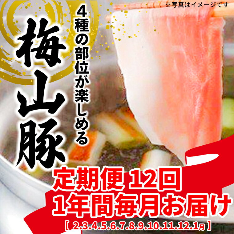 【ふるさと納税】 【12回毎月定期便】 塚原牧場 幻の豚 「梅山豚」 しゃぶしゃぶセット ブランド豚 メイシャントン 境町 ＜12回コース＞